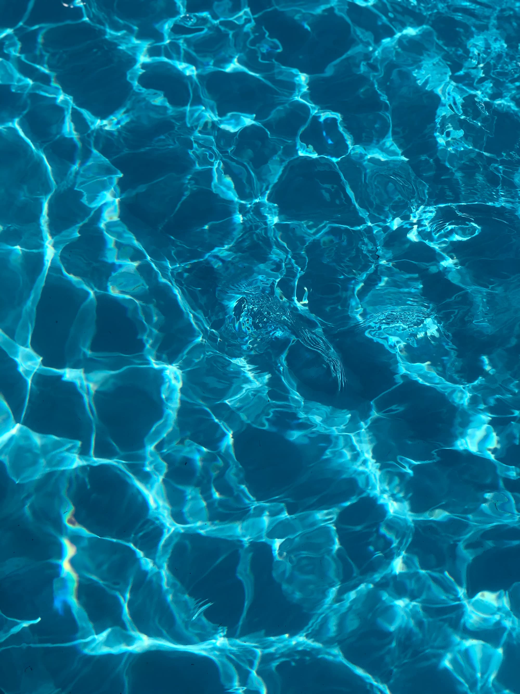 Pool & Building Amenities — 2