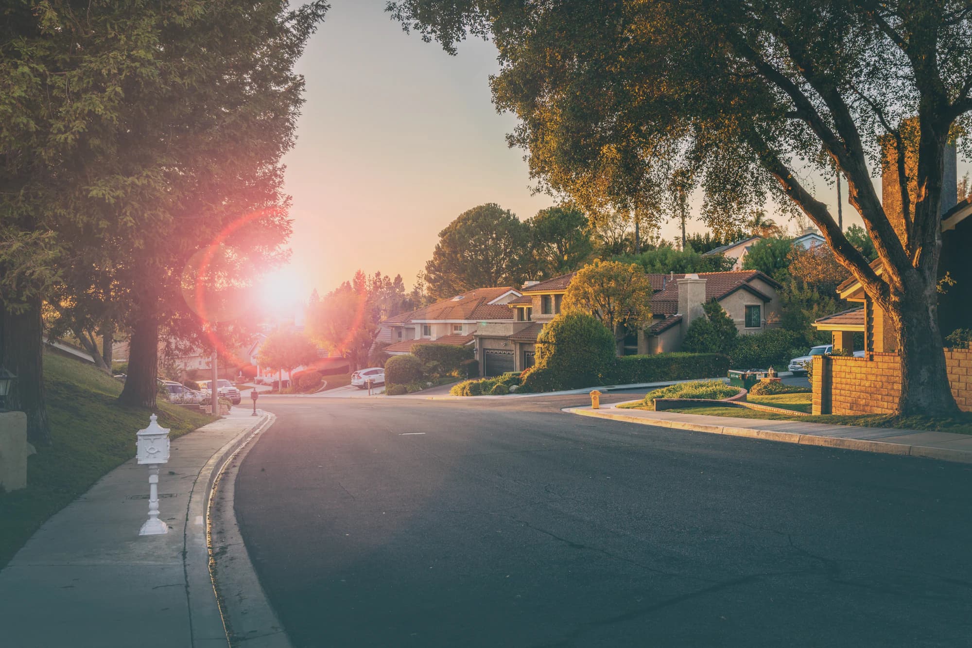 Neighborhood Vibes — 4