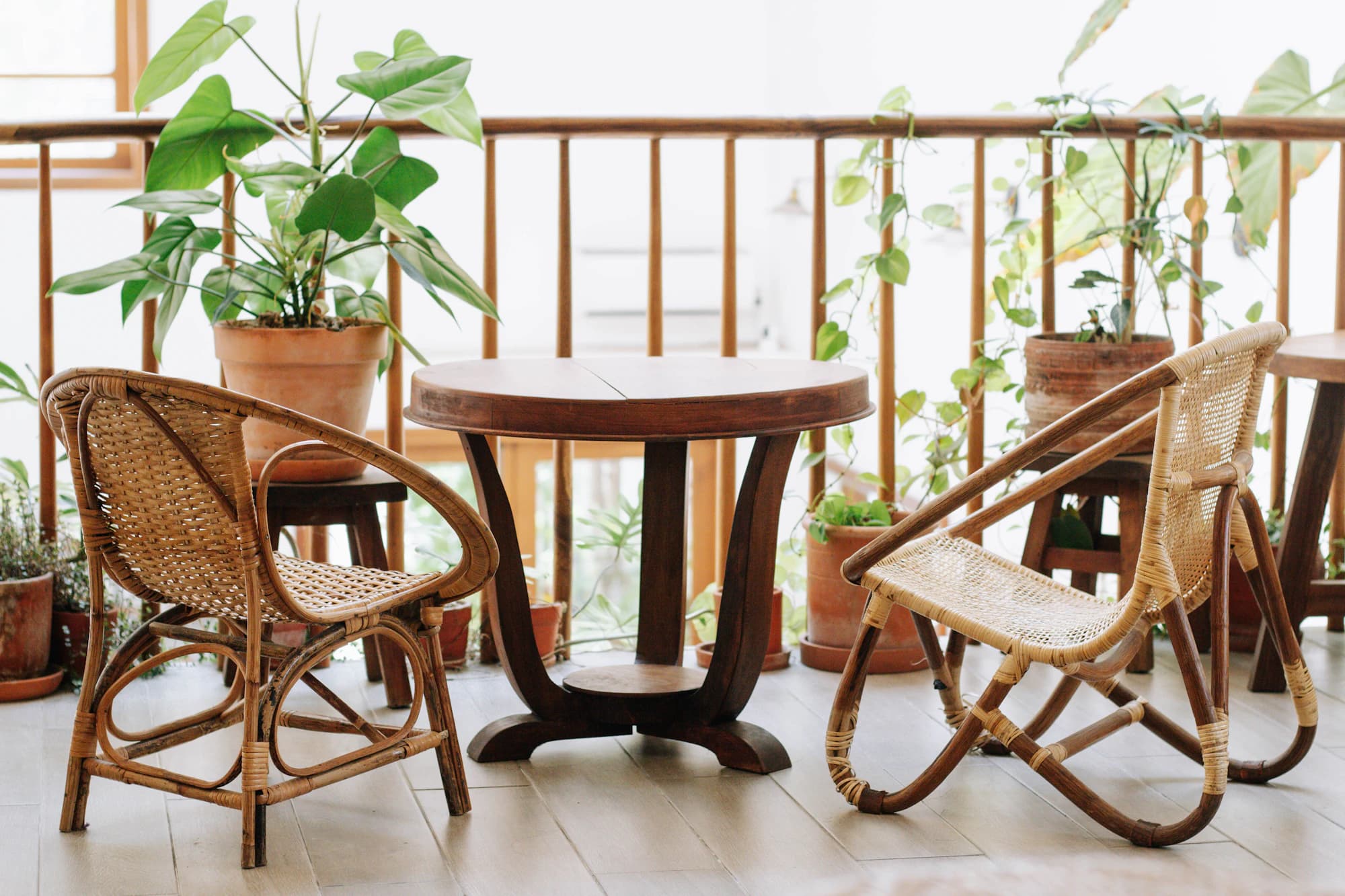 A bright breakfast table surrounded by plants